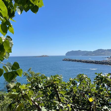 Bertoko Urdaibai II Apartment แบร์เมโอ ภายนอก รูปภาพ